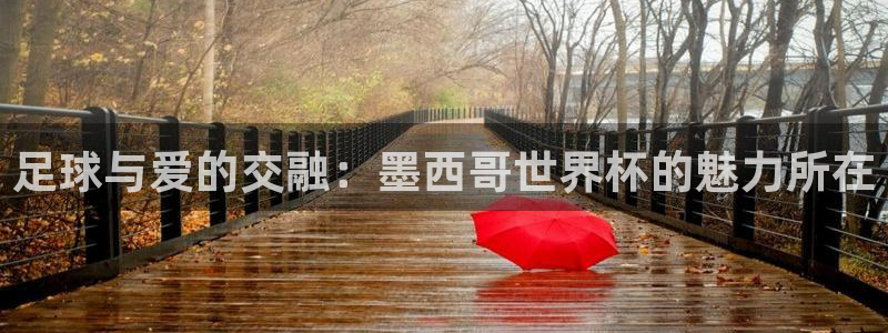 女足世界杯直播：足球与爱的交融：墨西哥世界杯的魅力所在