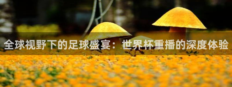 2026足球世界杯：全球视野下的足球盛宴：世界杯重播的深度体验