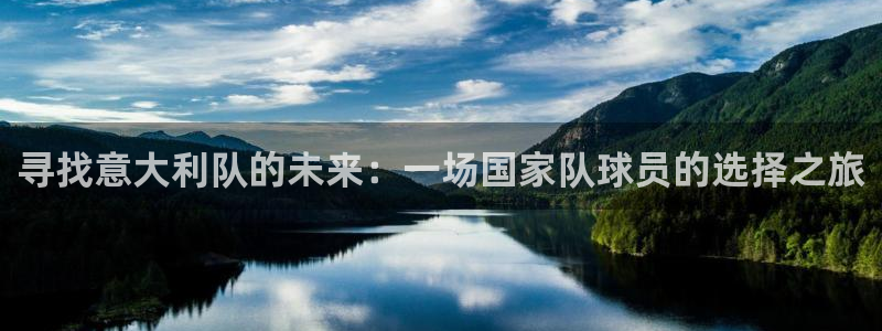 足球世预赛：寻找意大利队的未来：一场国家队球员的选择之旅