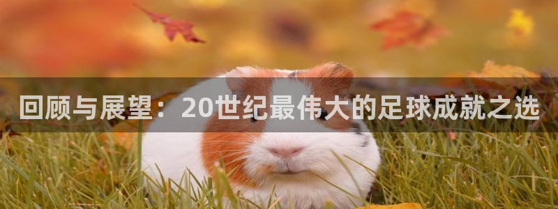 世界杯比赛赛程：回顾与展望：20世纪最伟大的足球成就之选