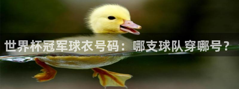 世界杯球队：世界杯冠军球衣号码：哪支球队穿哪号？