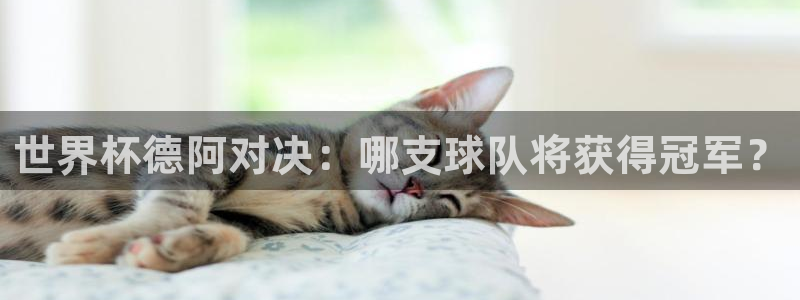 世界杯对阵表：世界杯德阿对决：哪支球队将获得冠军？