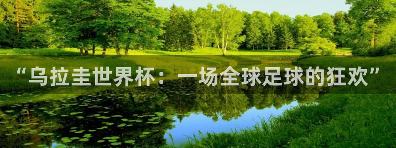 世界杯 直播：“乌拉圭世界杯：一场全球足球的狂欢”