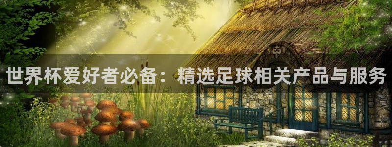 2026足球世界杯赛程：世界杯爱好者必备：精选足球相关产品与服务