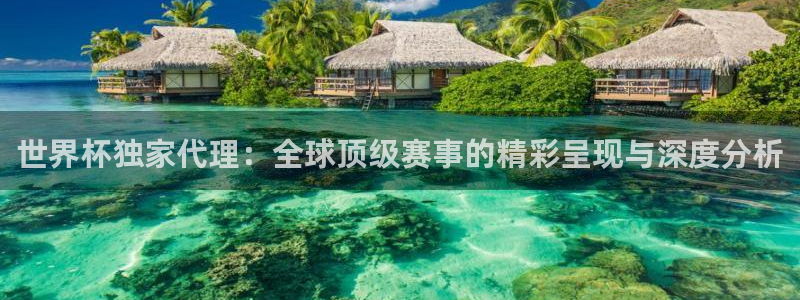 世界杯欧洲区赛程：世界杯独家代理：全球顶级赛事的精彩呈现与深度分析