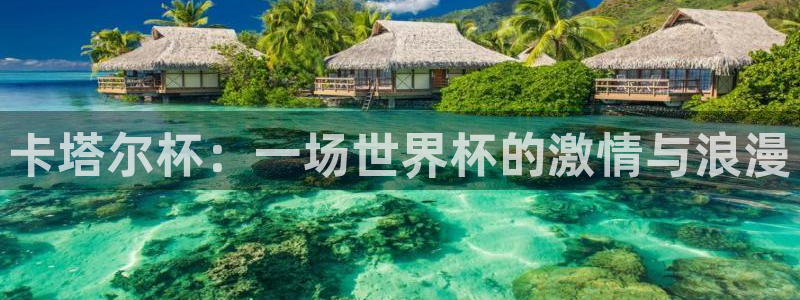 欧联杯直播：卡塔尔杯：一场世界杯的激情与浪漫