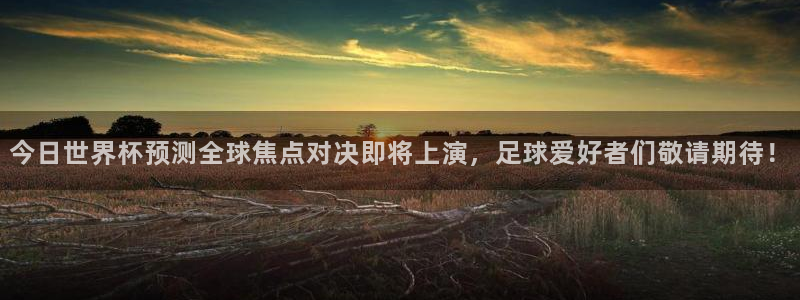 世界杯亚洲区预选赛积分榜：今日世界杯预测全球焦点对决即将上演，足球爱好者们敬请期待！