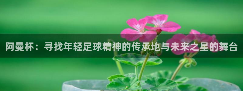 2026年足球世界杯赛程时间表：阿曼杯：寻找年轻足球精神的传承地与未来之星的舞台